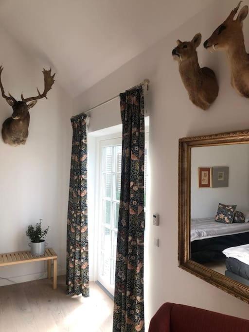 Cozy, Quiet Guest House Perfect For Business Or Pleasure Hillerød Екстериор снимка