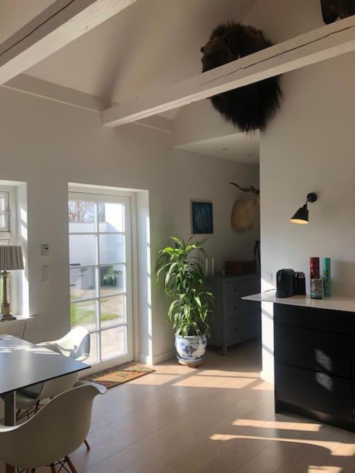 Cozy, Quiet Guest House Perfect For Business Or Pleasure Hillerød Екстериор снимка