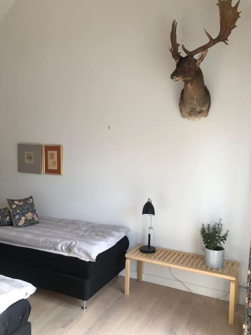 Cozy, Quiet Guest House Perfect For Business Or Pleasure Hillerød Екстериор снимка