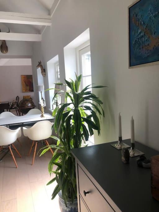 Cozy, Quiet Guest House Perfect For Business Or Pleasure Hillerød Екстериор снимка