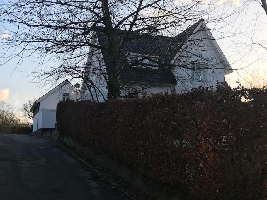 Cozy, Quiet Guest House Perfect For Business Or Pleasure Hillerød Екстериор снимка