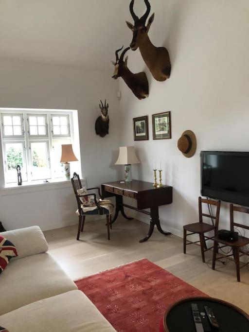 Cozy, Quiet Guest House Perfect For Business Or Pleasure Hillerød Екстериор снимка
